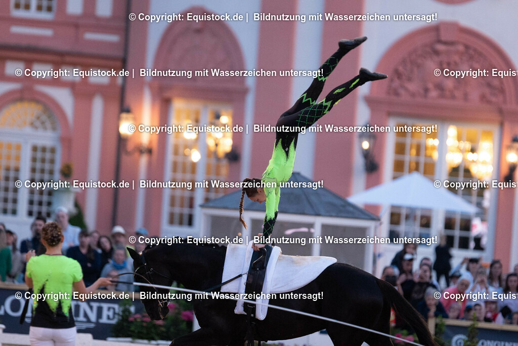 20230527_Voltigieren_NASPA_Flutlicht_0390 | equistock