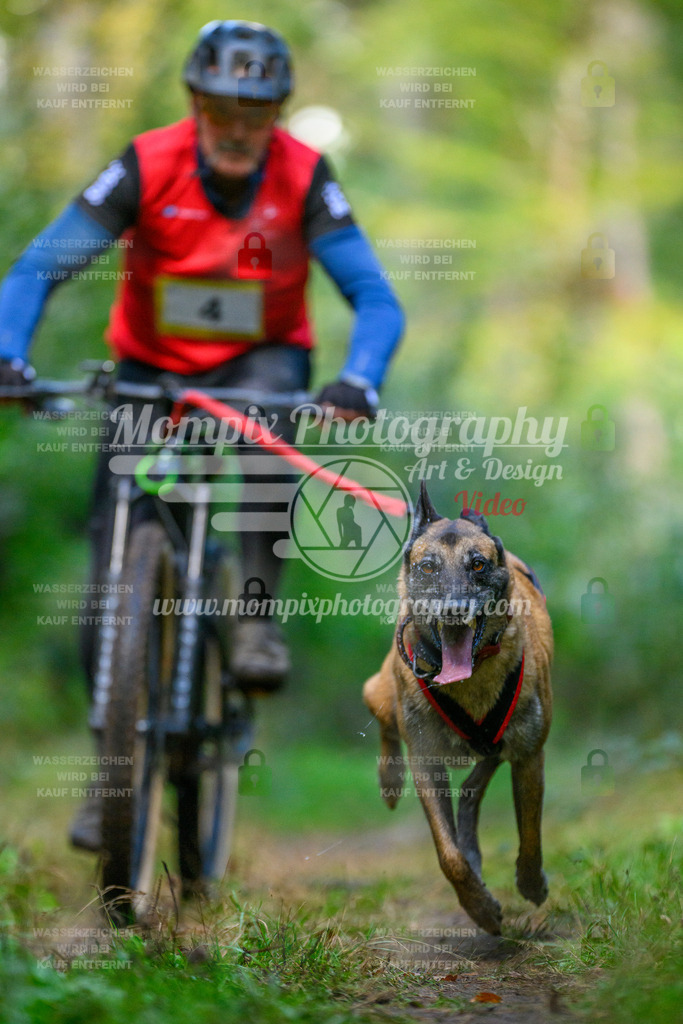 MompixPhotography_Yens2025_B1-13 | PayLife