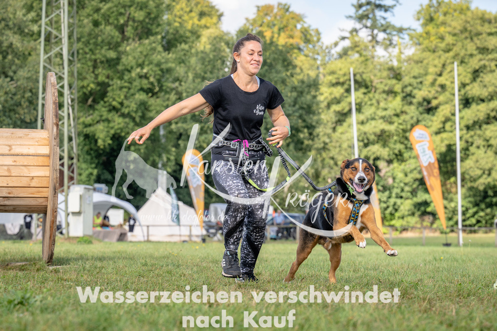1027_ZZ92401 | kk-dogfotos