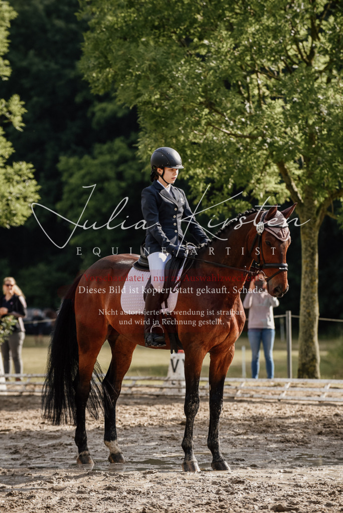 DSC_8588 | Pferde- und Turnierfotografie in Westsachsen. Pferdeportraits, Auftragszeichnungen und intuitive Kunst.