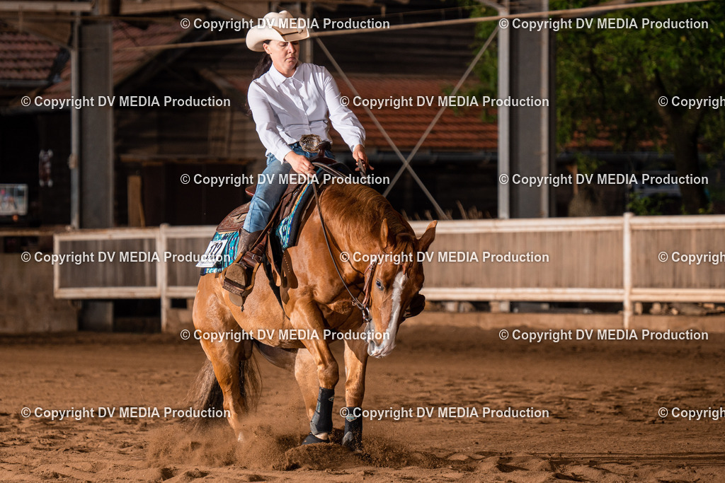 Erbach Tag 3-879 | dv-media-shop - Realisiert mit Pictrs.com