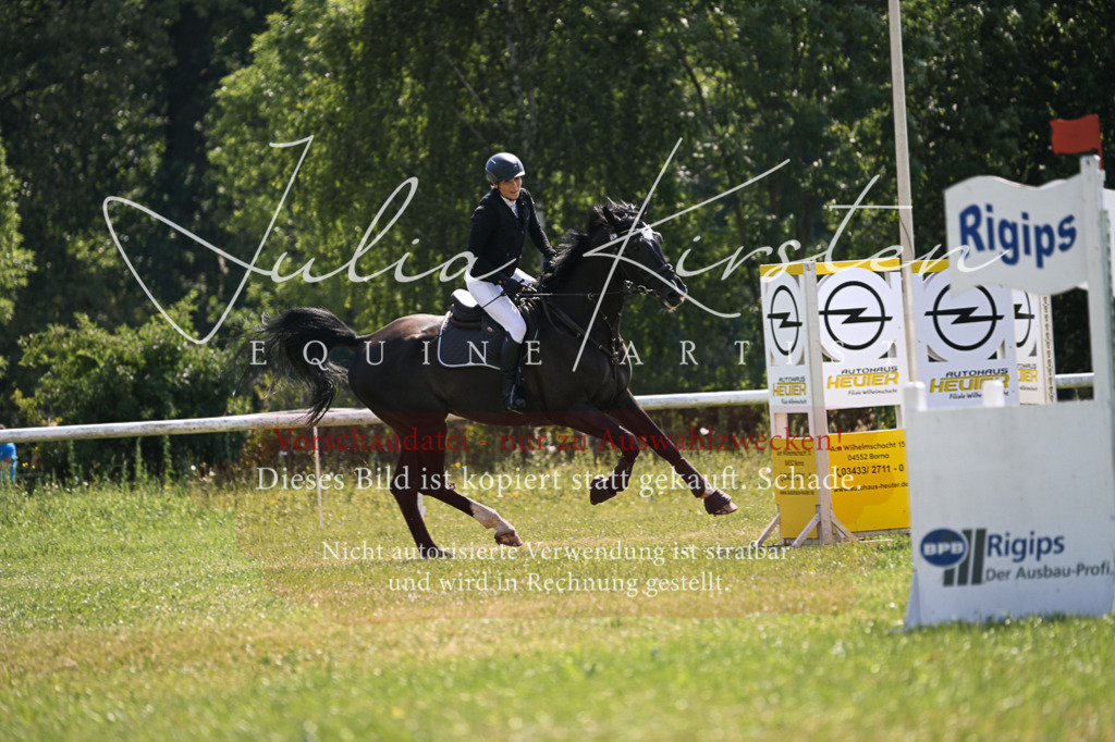 DSC_8943 | Pferde- und Turnierfotografie in Westsachsen. Pferdeportraits, Auftragszeichnungen und intuitive Kunst.
