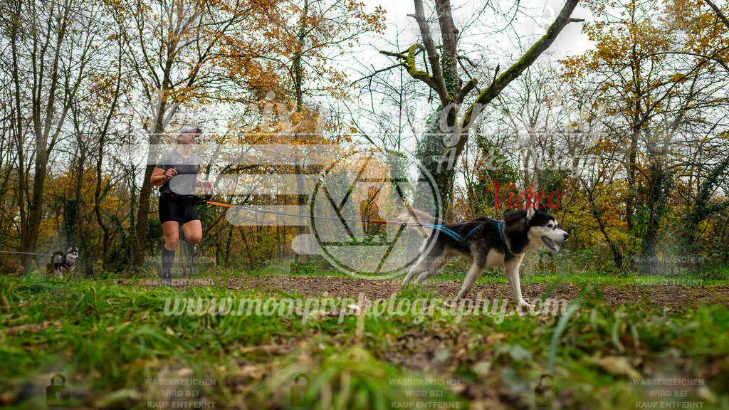 MompixPhotography_Bischwiller24_DI_CoursedeRelais-20 | PayLife