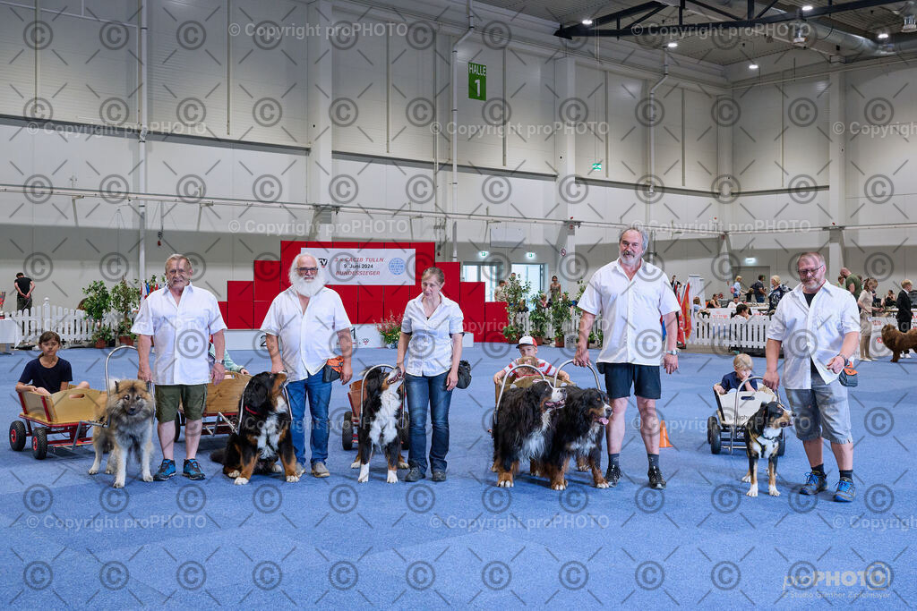 202406_ÖKV-IHA-Tulln24_NZ9_9406 | proPHOTO - Realisiert mit Pictrs.com