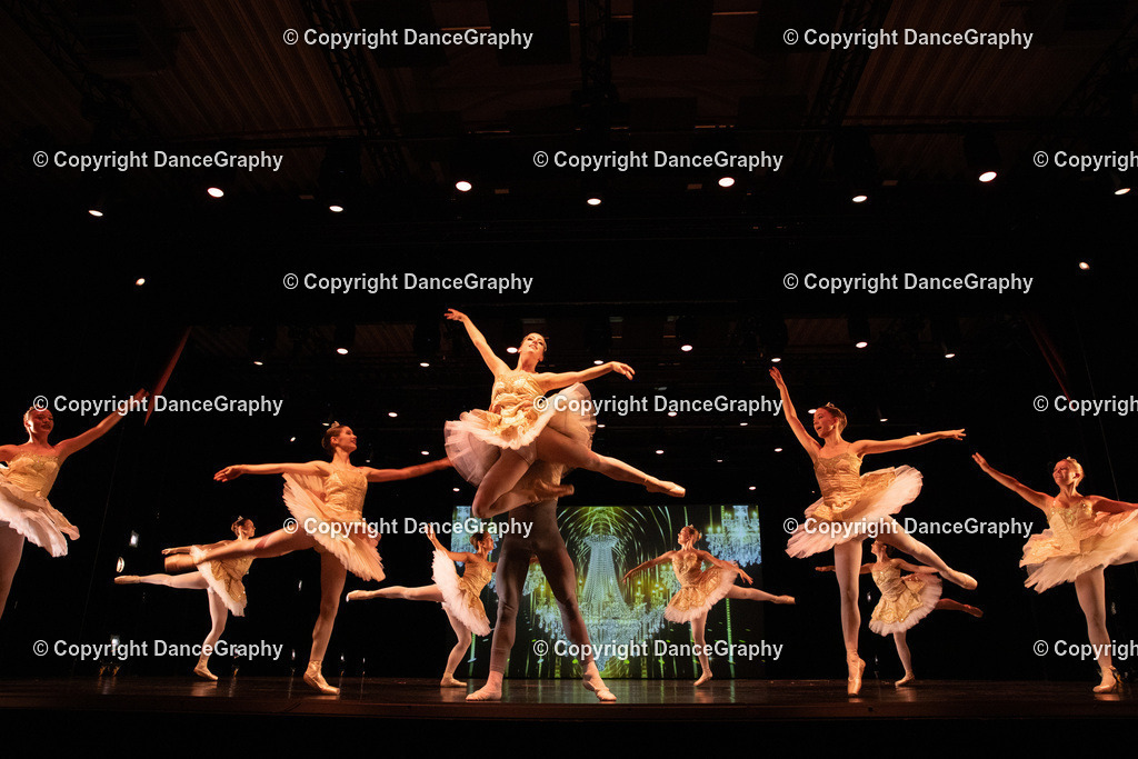 GPHY6550 | DanceGraphy - Realisiert mit Pictrs.com