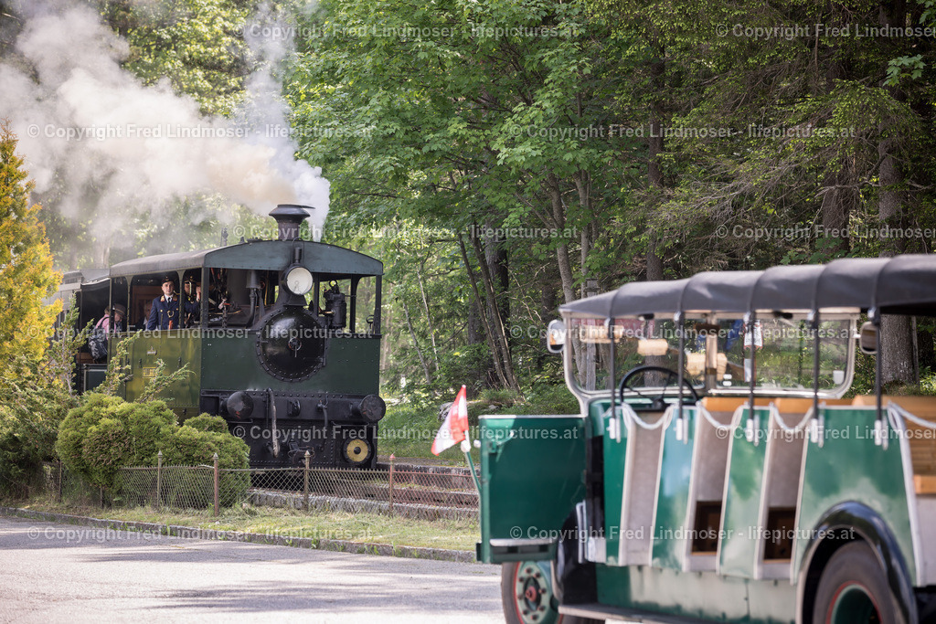 Erlaufsee Ausflugsschiff Fleissner-1478 | Fotos und Fotoprodukte - Realisiert mit Pictrs.com