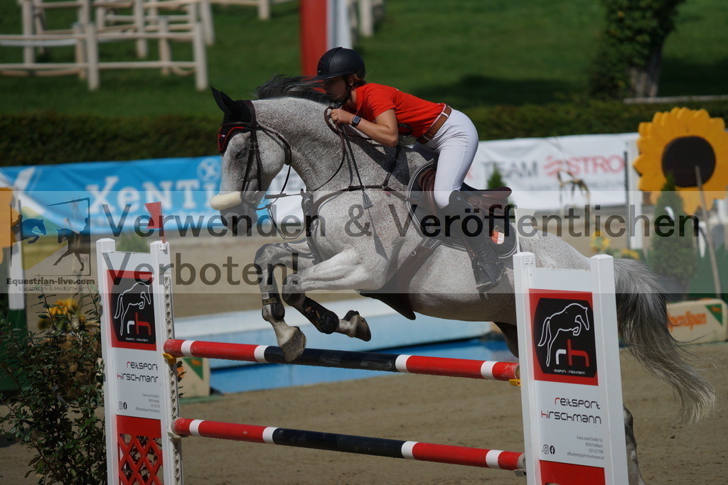 DSC09040 | equestrian-live-com