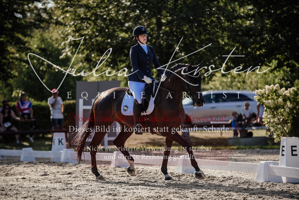 DSC_0549 | Pferde- und Turnierfotografie in Westsachsen. Pferdeportraits, Auftragszeichnungen und intuitive Kunst.