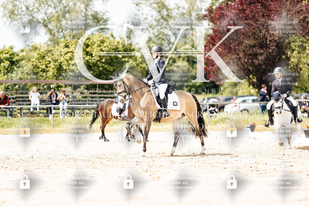 CK901863 | Turnierfotografie Pferdefotografie Trier Rheinland-Pfalz Pferdesport Reitsport Tierfotografie Sportfotografie Pferdevideo Pferdevideografie Equestrianvideography equestrianphotography  - Realisiert mit Pictrs.com