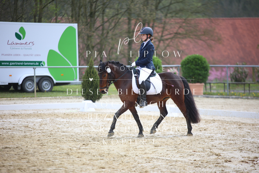 IMGT5010 | pl-fotografie