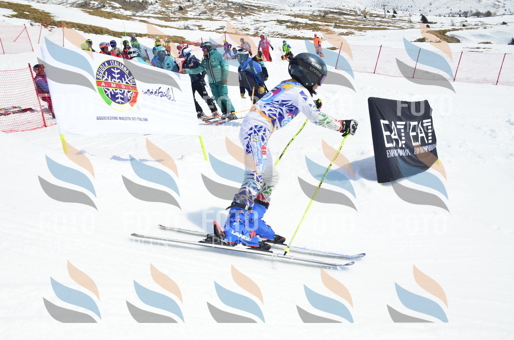 _ELE1724 | holidayphoto