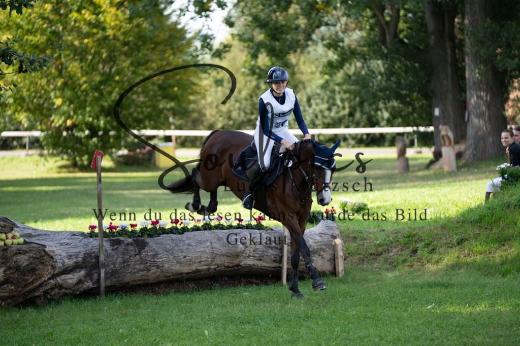 A7V03265 | Pferdefotograf