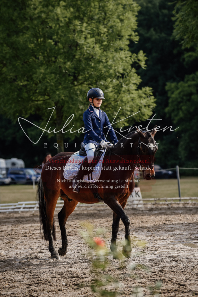 DSC_9111 | Pferde- und Turnierfotografie in Westsachsen. Pferdeportraits, Auftragszeichnungen und intuitive Kunst.