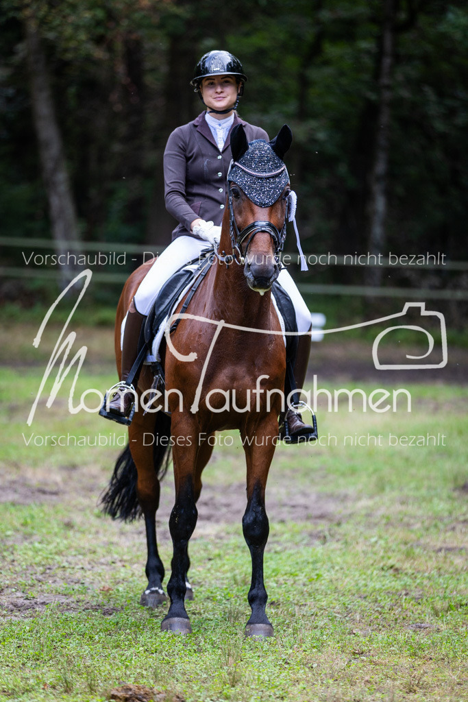 HB-A-Dressur-174 | MomenTaufnahmen Pferdesportfotos