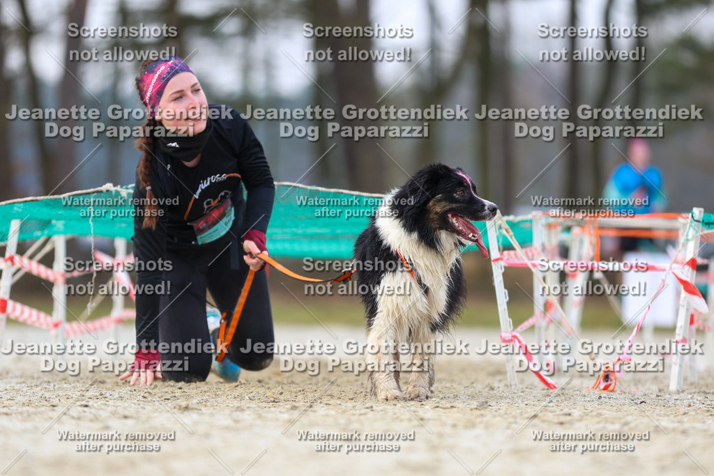 Dog Paparazzi - Strongdog North Mrz26-3856 | Dog Paparazzi Jeanette Grottendiek Fotografie & Videografie - Realisiert mit Pictrs.com