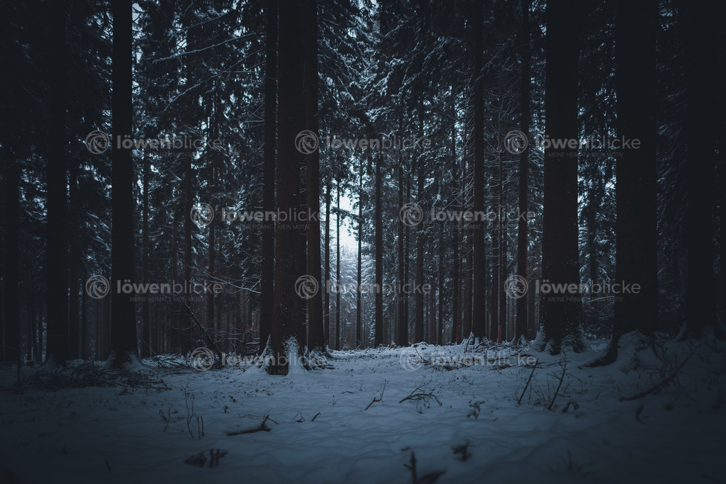 Waldlichtung im Albuch bei Bartholomä im Winter | löwenblicke | shop