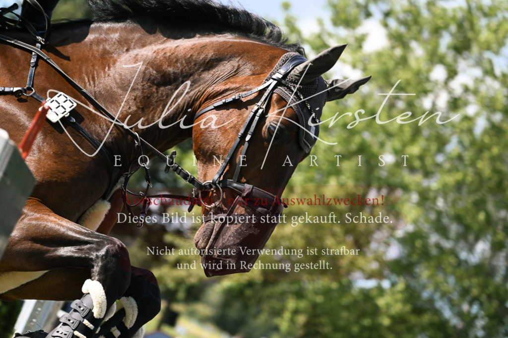 DSC_1192 | Pferde- und Turnierfotografie in Westsachsen. Pferdeportraits, Auftragszeichnungen und intuitive Kunst.