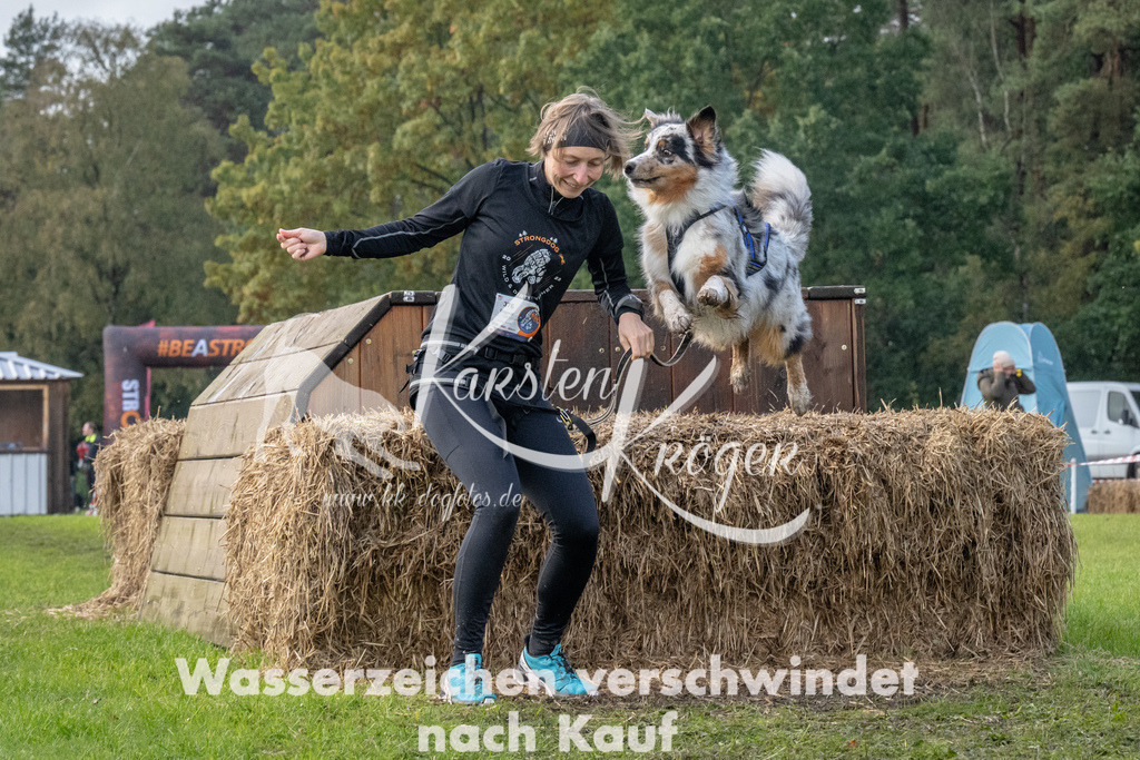 1420-94782 | kk-dogfotos