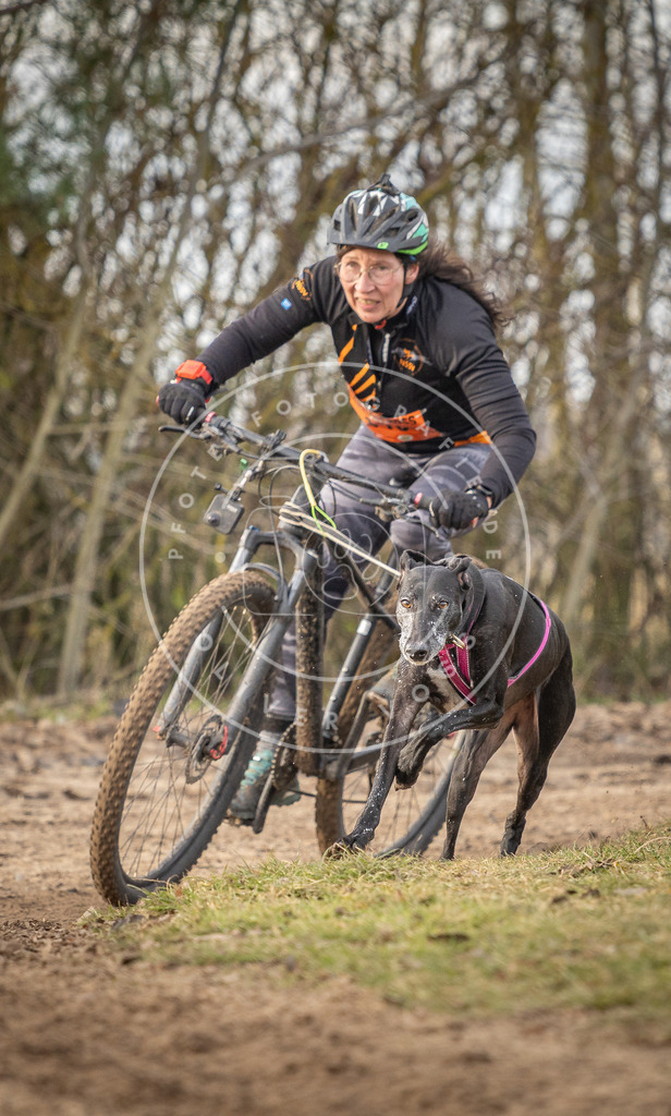 Pfotenfotografie_DV3A7778 | Hundefotografie, Tierfotograf, Pfotenfotografie, Fotoshooting Hund, Hunde Portrait, Hundesport, Hundeportraits, Heideshooting, Hunde, Sportfotograf, Hundefotograf, Turnierhundsport, THS,  - Realisiert mit Pictrs.com