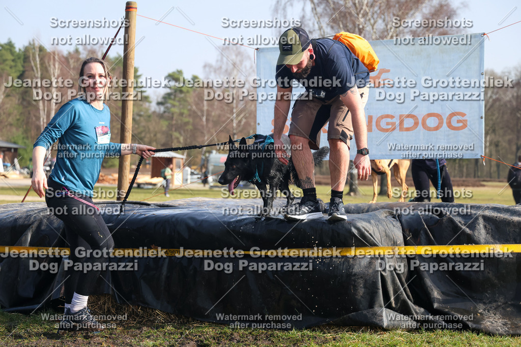 Dog Paparazzi - Strongdog North Mrz26-1707 | Dog Paparazzi Jeanette Grottendiek Fotografie & Videografie - Realisiert mit Pictrs.com