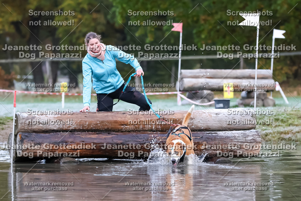 Dog Paparazzi - Strongdog 10-25-6124 | Dog Paparazzi Jeanette Grottendiek Fotografie & Videografie - Realisiert mit Pictrs.com