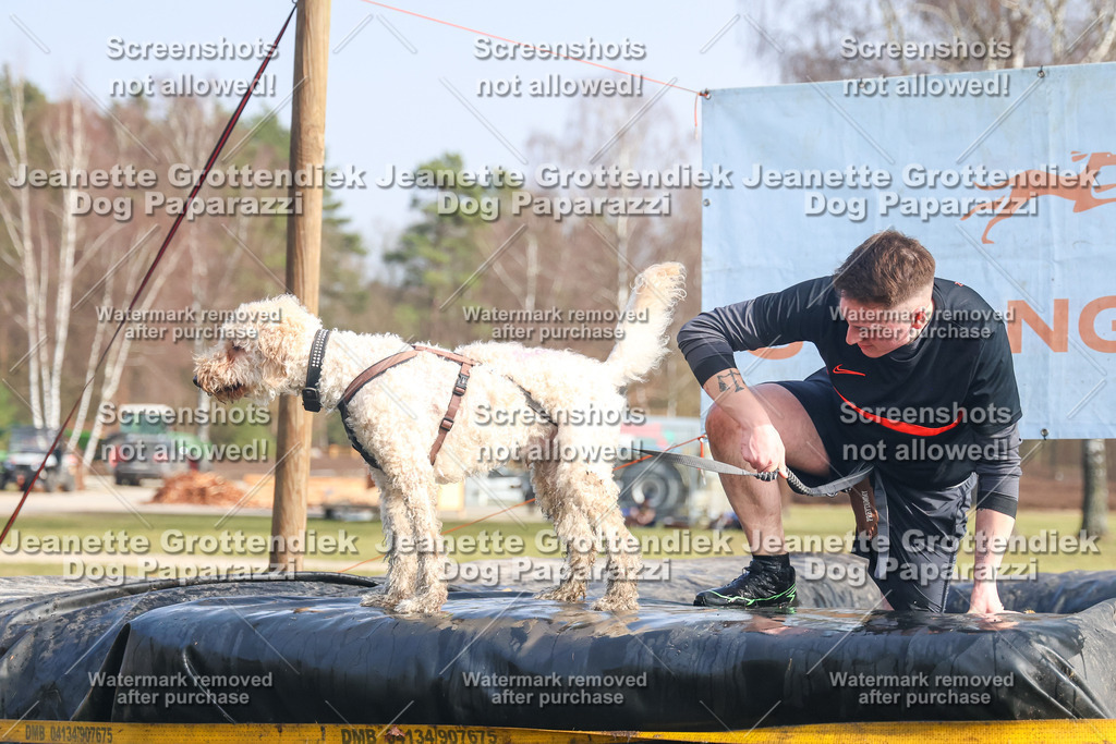 Dog Paparazzi - Strongdog North Mrz26-2198 | Dog Paparazzi Jeanette Grottendiek Fotografie & Videografie - Realisiert mit Pictrs.com