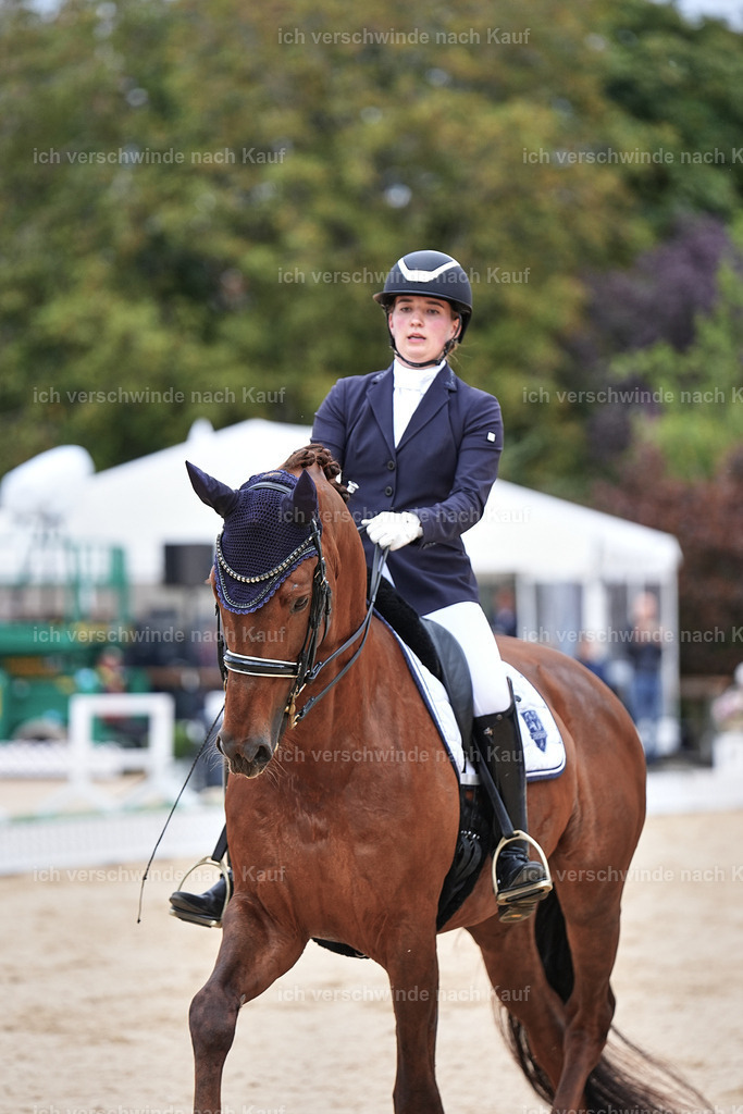 04_1-143-Dressur M__ -Marixx-2717 | working equitationturnier fotograf videograf stoibphotography marixx film working equitation deutschland reitsport turnierfotografie eventfotografie equestrian events