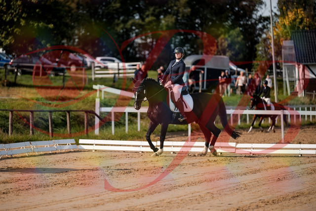2026_10_03_Siefer-Hof_113249_Z63_19194175 | Professionelle Reitsport-, Turnier- und Eventfotografie von Robert Broda. Galerien mit ausgewählten und bearbeiteten Bildern direkt online ansehen und bestellen.