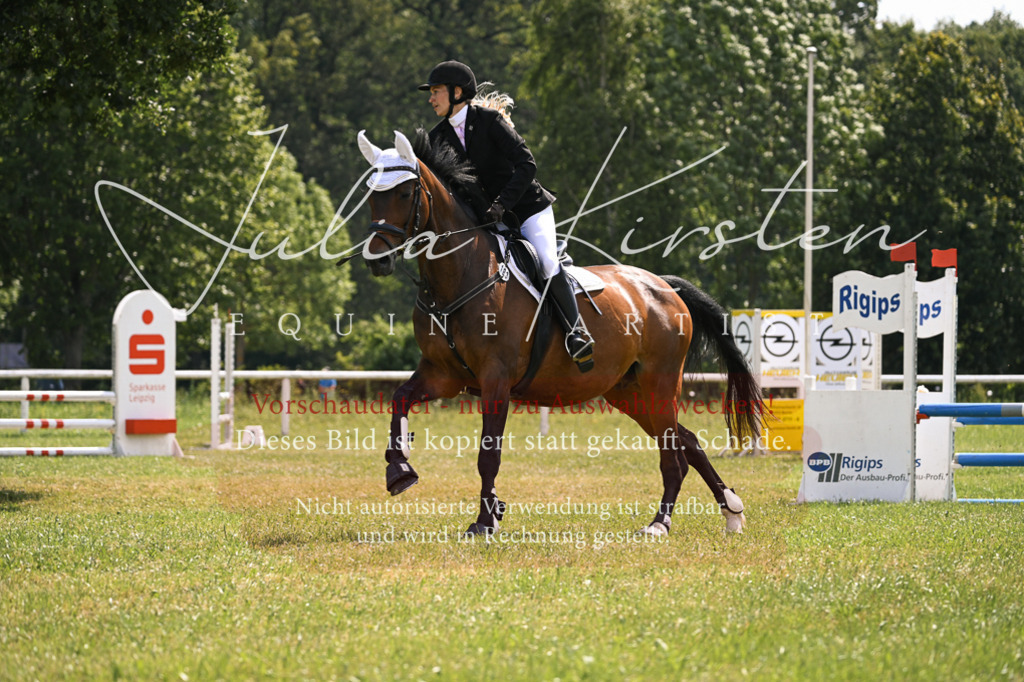 DSC_9014 | Pferde- und Turnierfotografie in Westsachsen. Pferdeportraits, Auftragszeichnungen und intuitive Kunst.