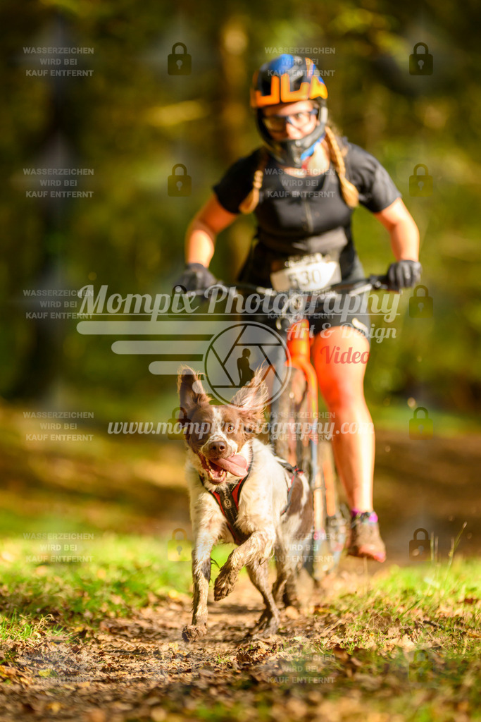 MompixPhotography_20TSB_E1_DS1-37 | PayLife