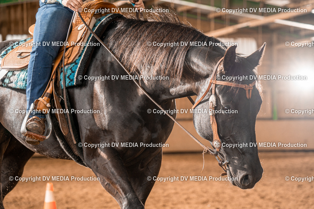 BAL00505 | dv-media-shop - Realisiert mit Pictrs.com