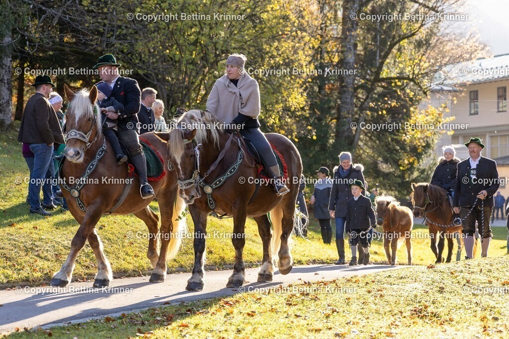 LL24-221 | foto-bettina-krinner - Realisiert mit Pictrs.com
