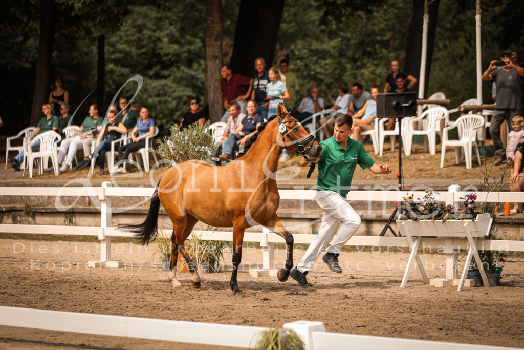 11.So00050 | Leoni Ertmer Photography - Realisiert mit Pictrs.com