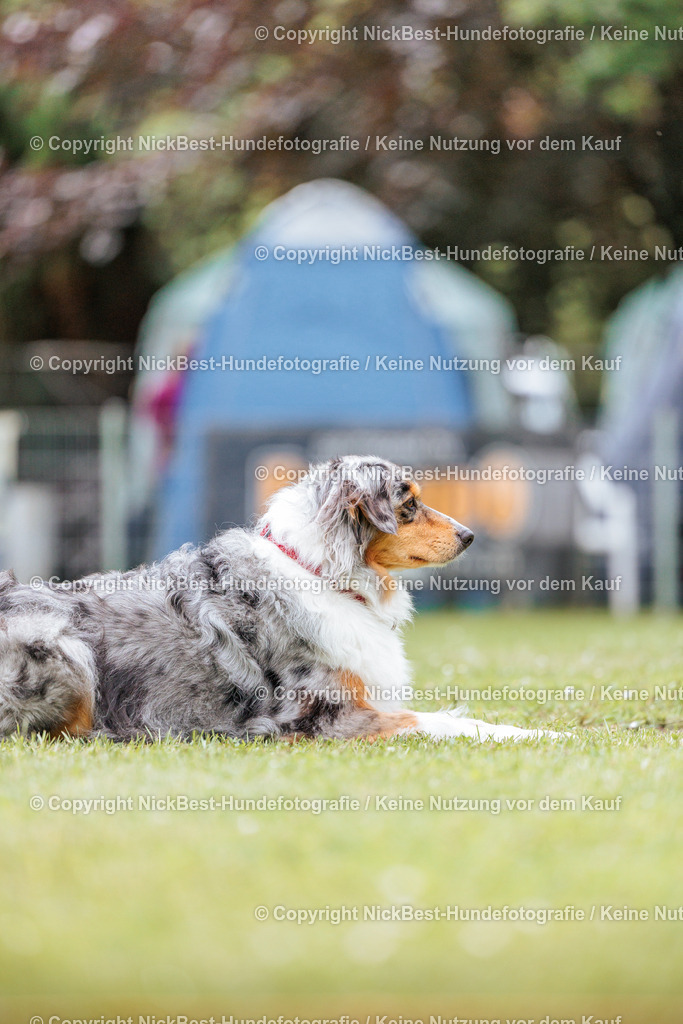 RO-Blumenthal-2026-Nickbest-Hundefotografie-2824 | Dein Hund! Dein Moment! Deine Erinnerungen! Hundefotografie in Bremen Blumenthal. Ich fange die besonderen Momente deines Vierbeiners ein – ob Indoor mit Blitzanlage oder in der freien Natur. Sicher dir dein Moment und dein Termin für eure Erinnerungen.