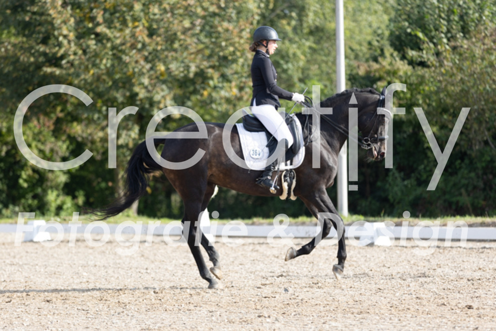 IMG_2194 | Creatify Fotografie