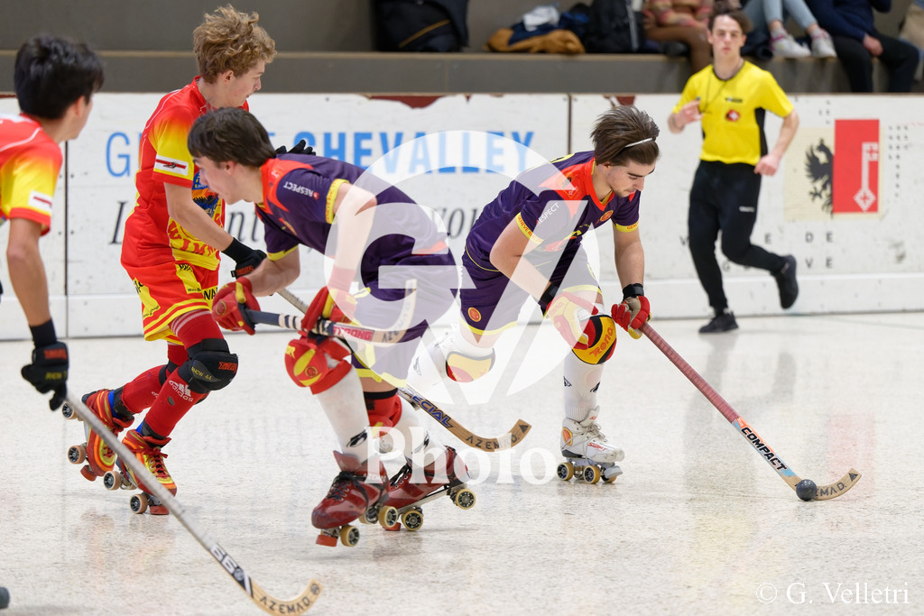 DSC_6244 | Velletri Photo