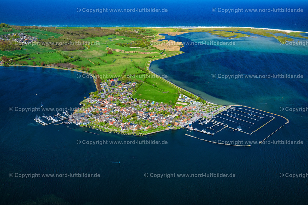 Maasholm_Schlei_ELS_6570010524 | MAASHOLM 01.05.2024 Ortsansicht mit den Segelhäfen am Ufer der Schlei nähe der Meeres-Küste der Ostsee in Maasholm im Bundesland Schleswig-Holstein. Weiterführende Informationen bei: Christoph Winter,  Ostseefjord Schlei GmbH. // Town view with the sailing ports on the seashore of the Baltic Sea in Maasholm in the state of Schleswig-Holstein. Further information at: Christoph Winter,  Ostseefjord Schlei GmbH. Foto: Martin Elsen