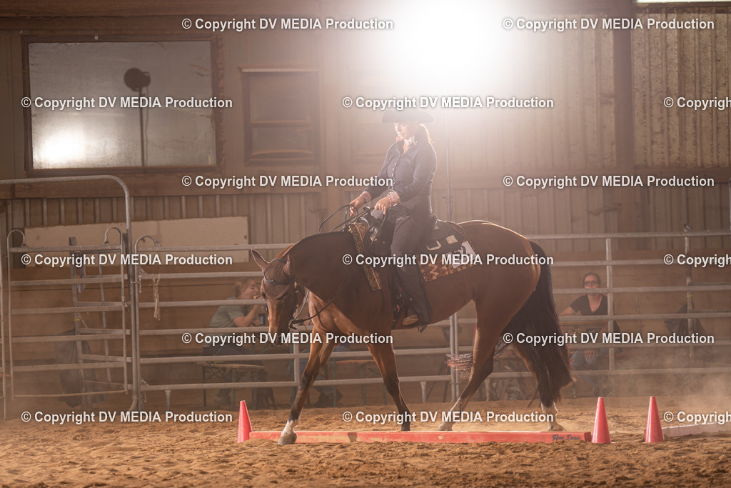 NID00881 | dv-media-shop - Realisiert mit Pictrs.com