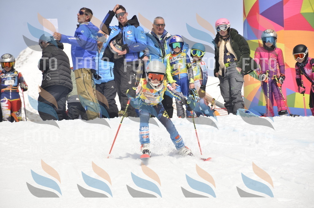 _ELE8791 | holidayphoto