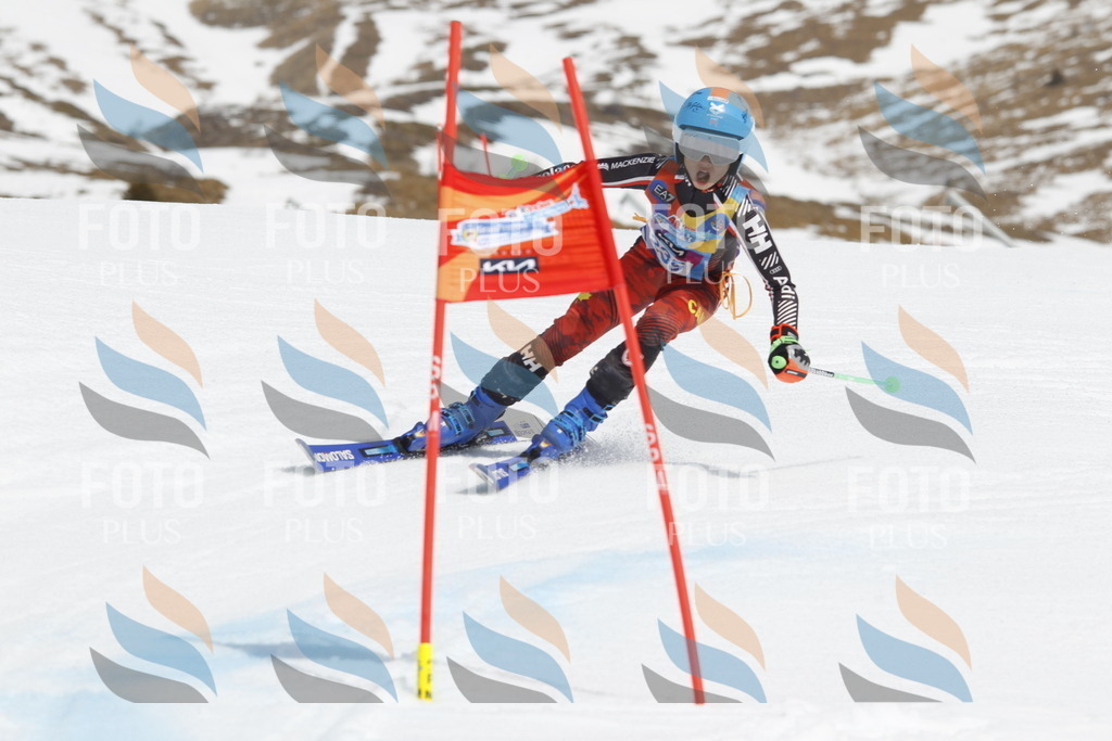 _U3G2596 | holidayphoto