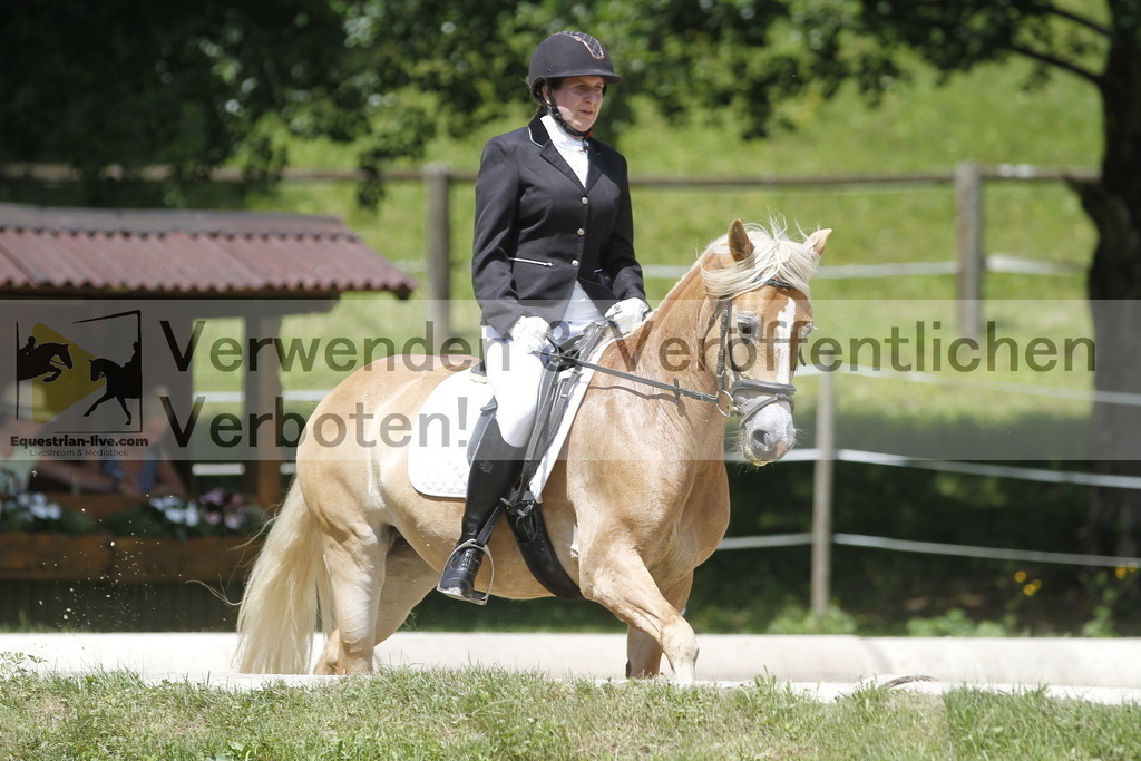 _MG_0919 | equestrian-live-com