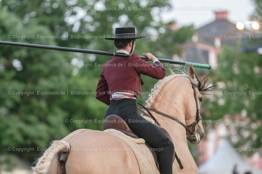 20230526_Pferdenacht_0747 | equistock