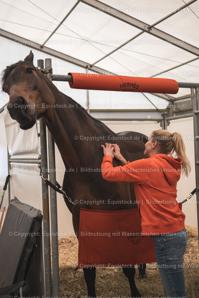 20251114_Jessica-von-Bredow-Werndl_TOMSPIC_0003 | Foto: Thomas Hartig