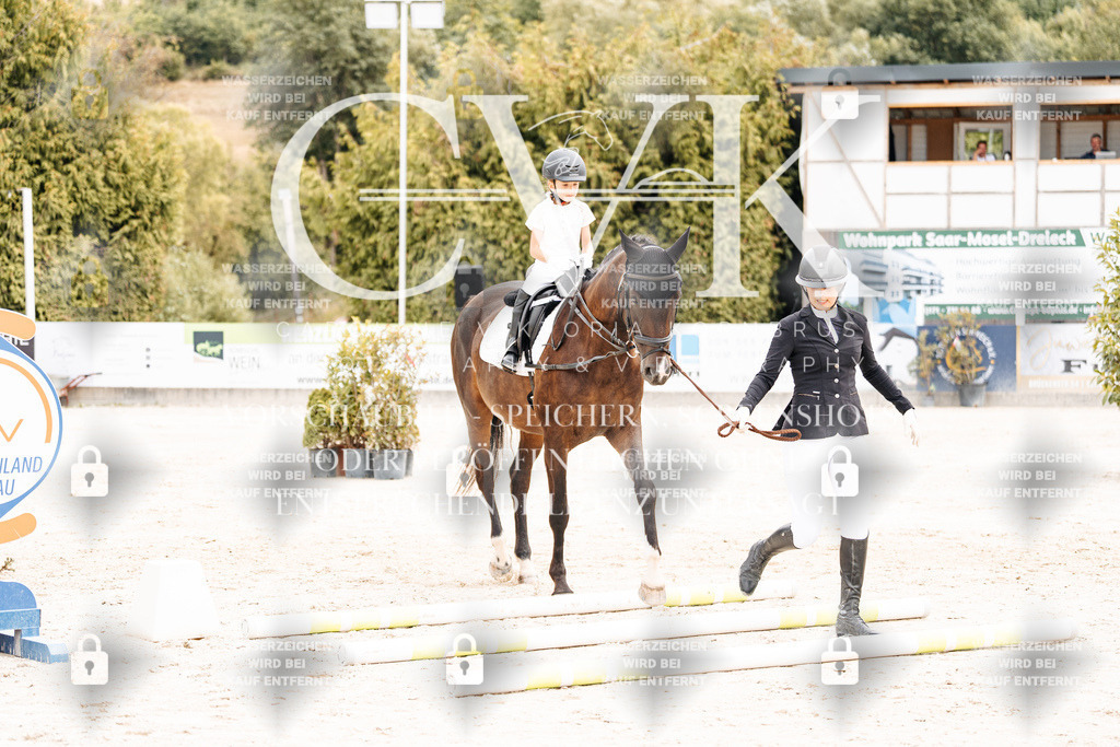 CK907098 | Turnierfotografie Pferdefotografie Trier Rheinland-Pfalz Pferdesport Reitsport Tierfotografie Sportfotografie Pferdevideo Pferdevideografie Equestrianvideography equestrianphotography  - Realisiert mit Pictrs.com