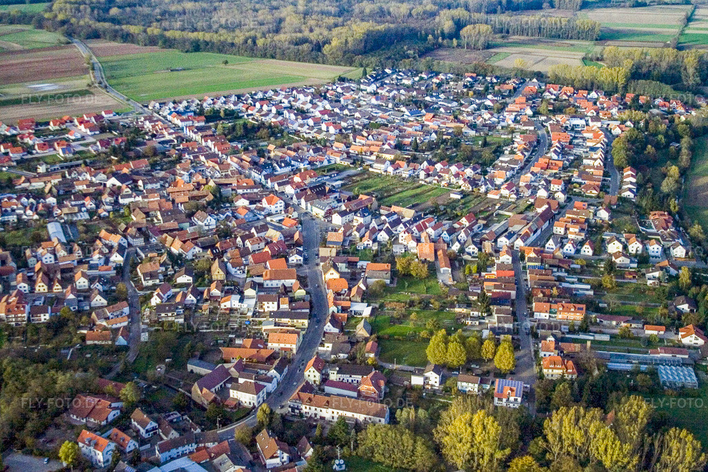 Luftbild: Bellheimer Straße in Hördt im Bundesland Rheinland-Pfalz in Deutschland. Foto: IMG_4583.jpg vom 10.11.2006 durch Werner Riehm/FLY-FOTO.de
