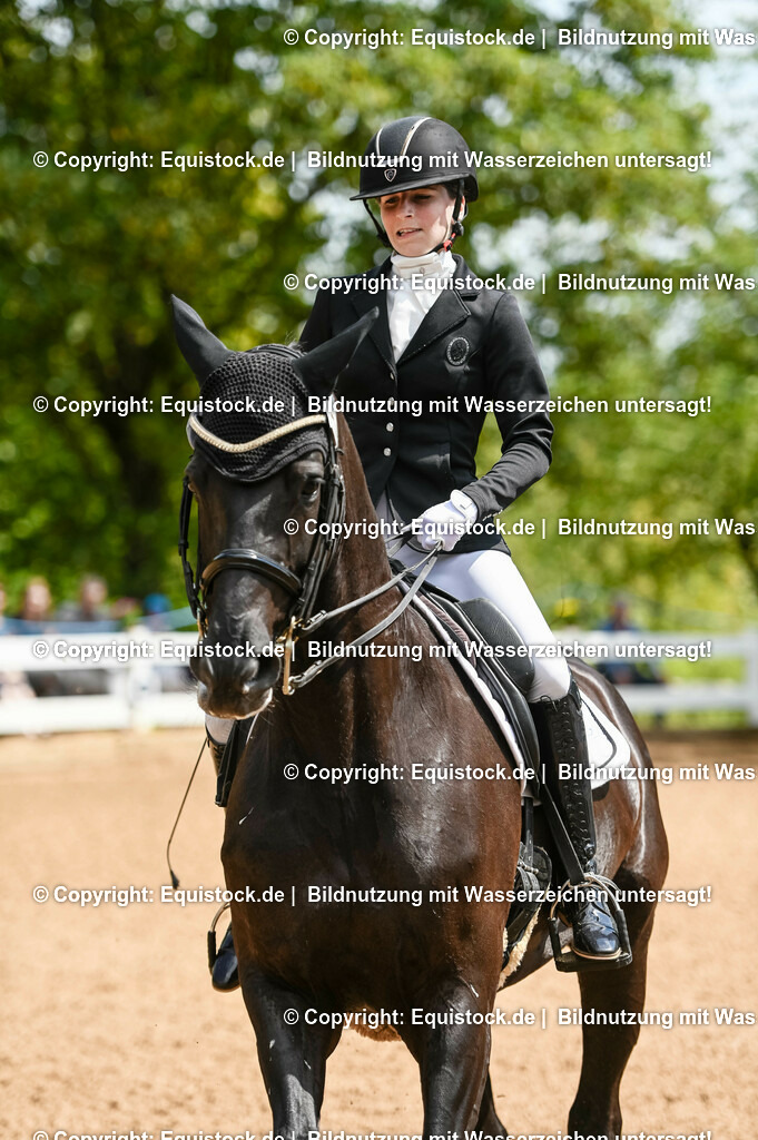 20230716_01_Dressurprüfung Kl.M_0028 | equistock