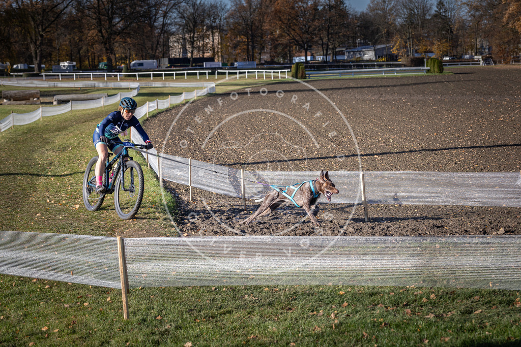 CaniXpix_DV3A4181 | Hundefotografie, Tierfotograf, Pfotenfotografie, Fotoshooting Hund, Hunde Portrait, Hundesport, Hundeportraits, Heideshooting, Hunde, Sportfotograf, Hundefotograf, Turnierhundsport, THS,  - Realisiert mit Pictrs.com