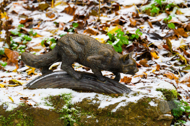 _DSC1802 | Shop für Prints Landschaftsfotografie Sächsische Schweiz Naturfotografie in Thüringen Fotos vom Findlingspark Nochten Kloster Sankt Marienstern Bilder Festung Königstein PanoramaRhododendronpark Kromlau FotogalerSchleswig-Holstein Küstenlandschaften