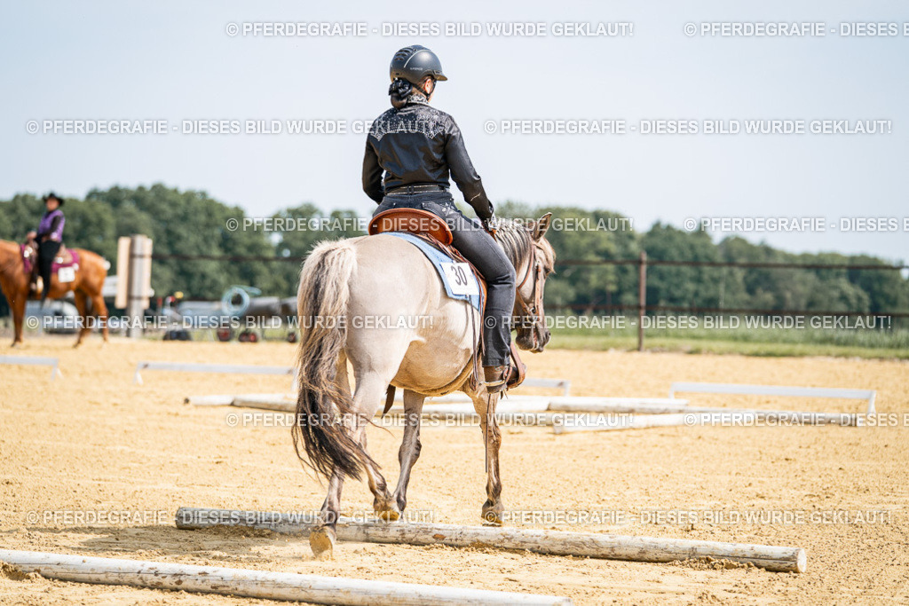 DSC09933 | Pferdegrafie