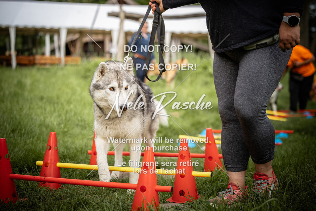 nelerasche_So-earlydog_54 | nelerasche